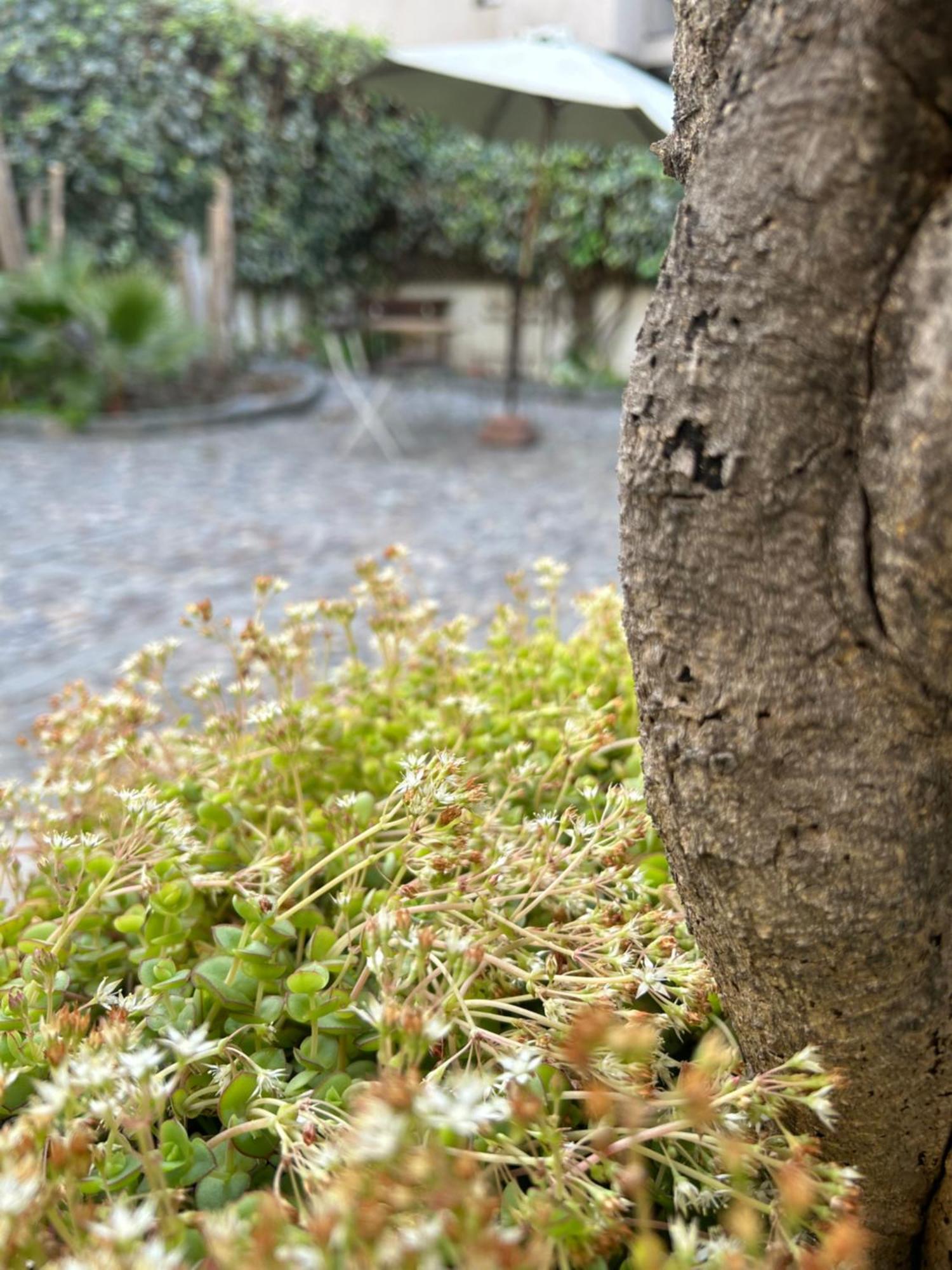 Casa Ribera Providencia Bed and breakfast 2*